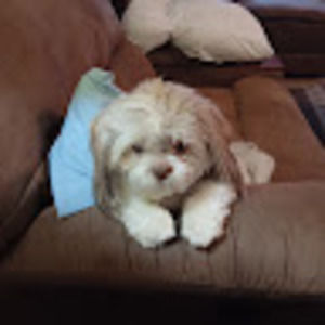 Meet your Posher, Marguerite